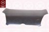 FIAT 0000051810378 Bonnet